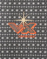 Santa Cruz Winkowski Samurai VX Deck 10.35" x 30.54" Skateboard Deck